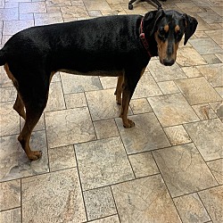 Photo of Maze