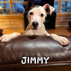 Thumbnail photo of Jimmy #1