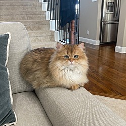 Photo of Fred