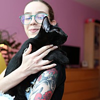 adopt a pet