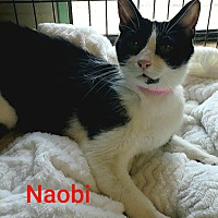 Photo of Naobi