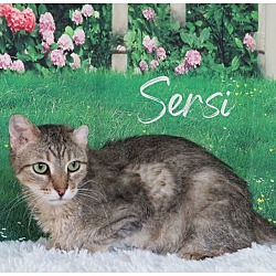 Photo of Sersi