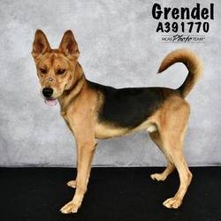 Photo of GRENDEL