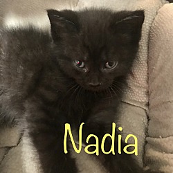 Thumbnail photo of Nadia #1