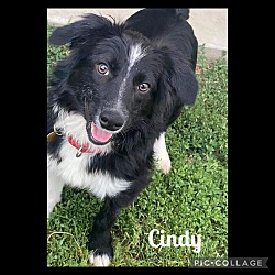 Photo of Cindy