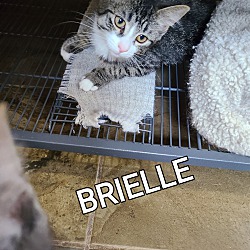 Photo of Brielle