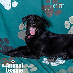 Thumbnail photo of Jem #1