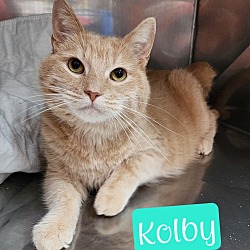 Photo of Kolby