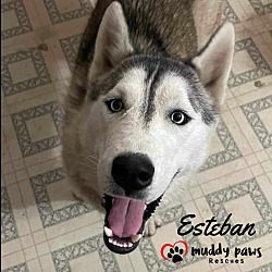 Photo of Esteban (Courtesy Post)