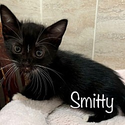 Thumbnail photo of Smitty #2