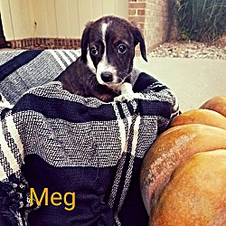 Photo of Meg