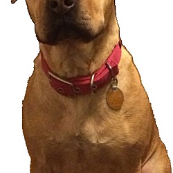 Photo of Abby