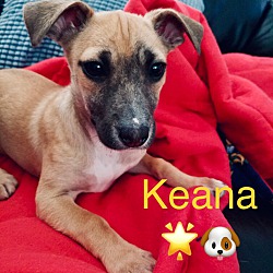 Photo of Keana