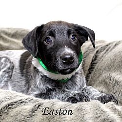 Thumbnail photo of Easton ~ meet me! #4