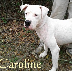 Thumbnail photo of Caroline #1