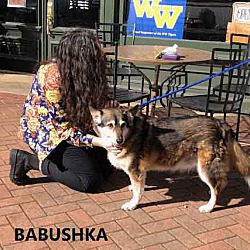 Thumbnail photo of Babushka #4