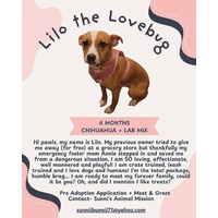 adopt a pet