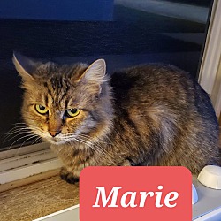 Photo of Marie