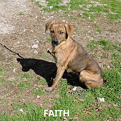 Thumbnail photo of Faith #2