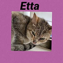 Photo of Etta