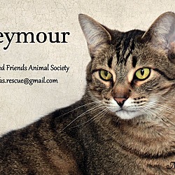 Thumbnail photo of Seymour #1