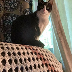 Photo of Lucy