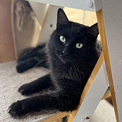 Photo of Noah