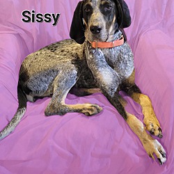 Photo of Sissy & Cletus
