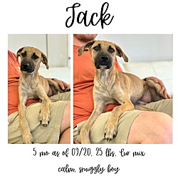 Thumbnail photo of Jack #1