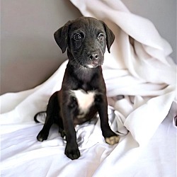 Photo of LULU