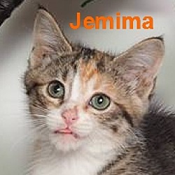 Thumbnail photo of Jemima #3