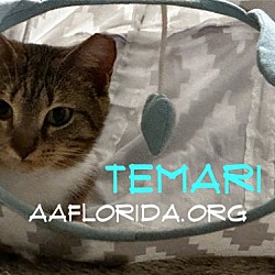 Thumbnail photo of Temari #3