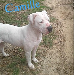Thumbnail photo of Camille #2