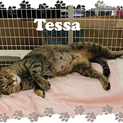 Thumbnail photo of Tessa #1