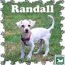 Photo of Randall