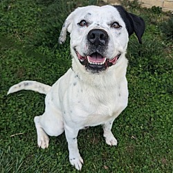 Photo of Snoop