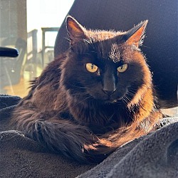 Photo of Vinnie