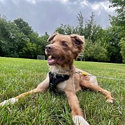 Photo of 0420 Charlie Bear