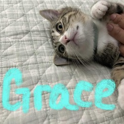 Thumbnail photo of Grace #1