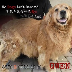 Photo of Gwen 8872 0358