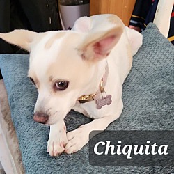 Thumbnail photo of Chiquita #2