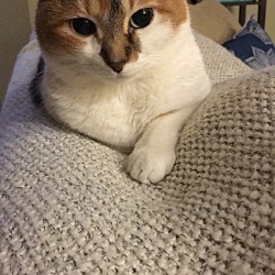 Photo of Mayla