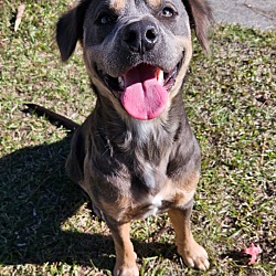 Photo of Spice