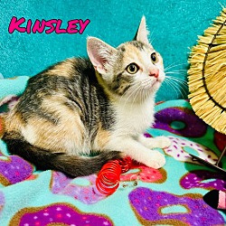 Thumbnail photo of Kinsley #4