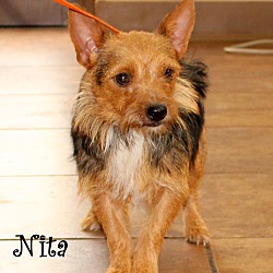 Thumbnail photo of Nita ~ meet me #2