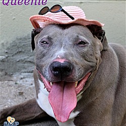 Thumbnail photo of Queenie #2