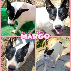 Thumbnail photo of Margo #2