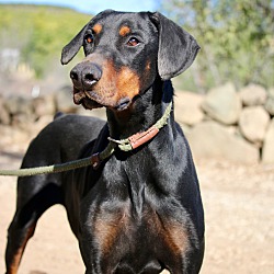 Thumbnail photo of Victor #3