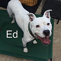 Photo of Ed