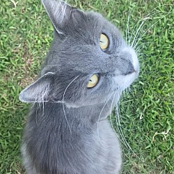 Photo of Mr. Whiskers